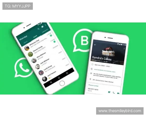 凯发下载APP官网下载安装流程详解，确保每一步操作都安全顺畅